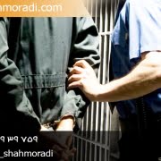 وکیل خیانت در امانت