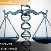 وکیل اثبات نسب