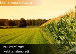 تشخیص زمین های ملی از اراضی عادی