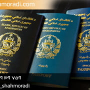 تامین دعوای اتباع بیگانه