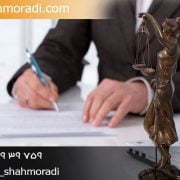 تفاوت خیار عیب با تبری از عیوب